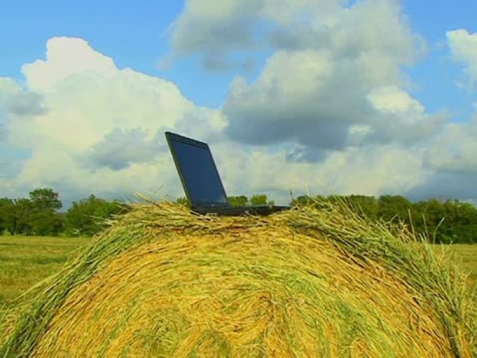 干草堆上的笔记本电脑