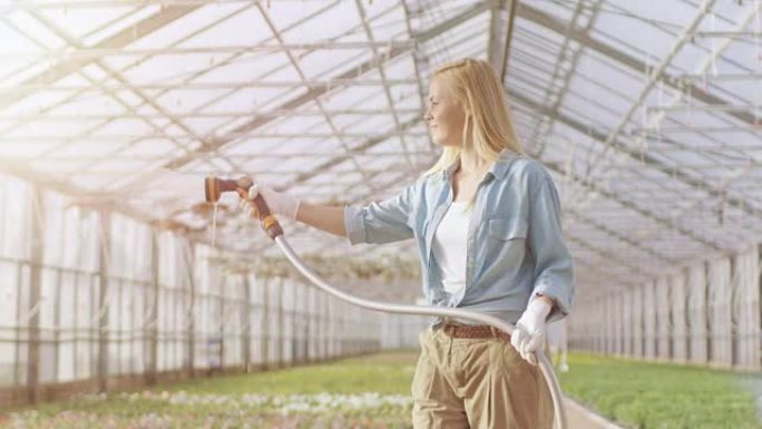 快乐的女园丁在阳光明媚的工业温室里用软管给植物和花朵浇水。