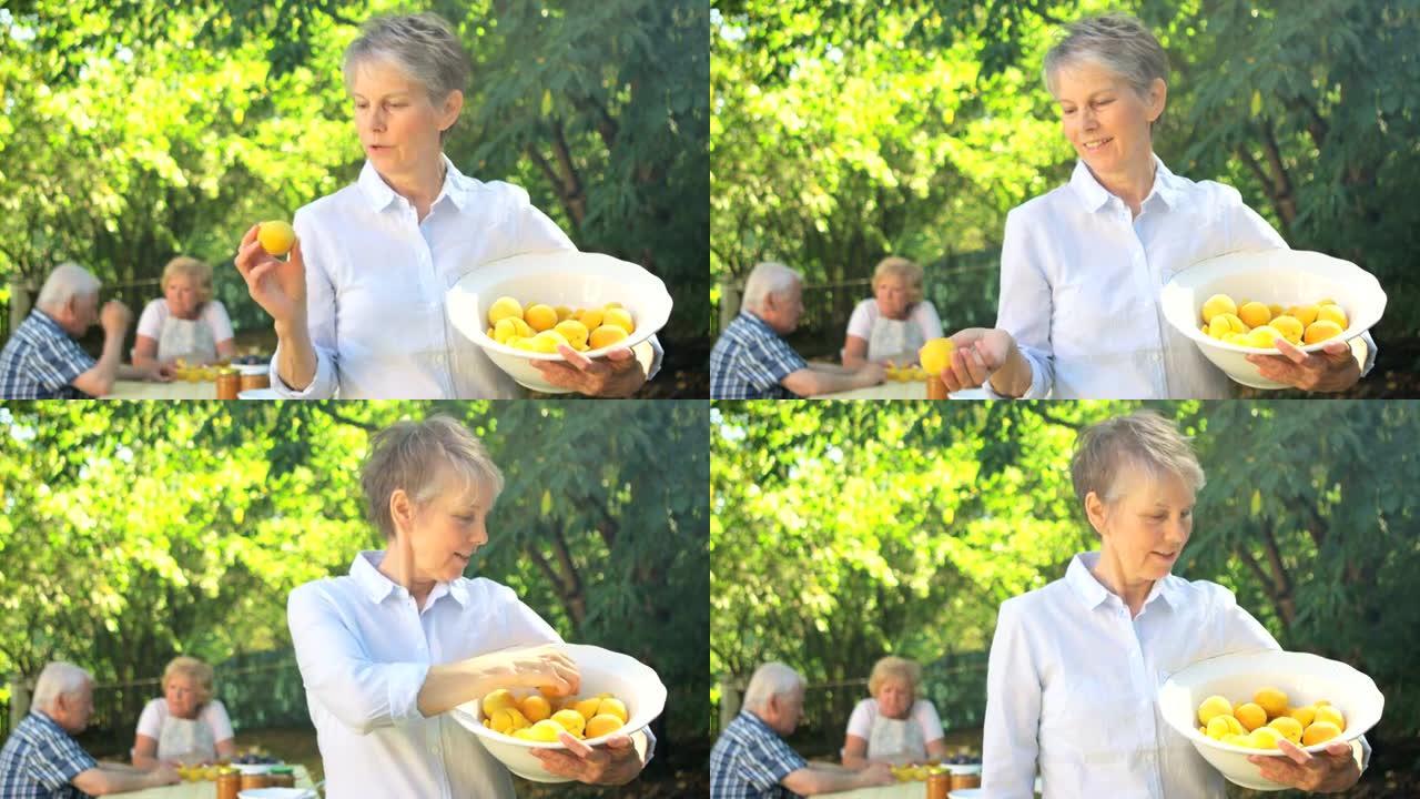 高级妇女在花园里拿着一碗杏子