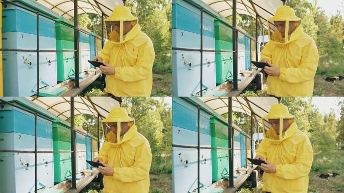 养蜂人用平板电脑检查木制蜂箱，然后在养蜂场收获蜂蜜