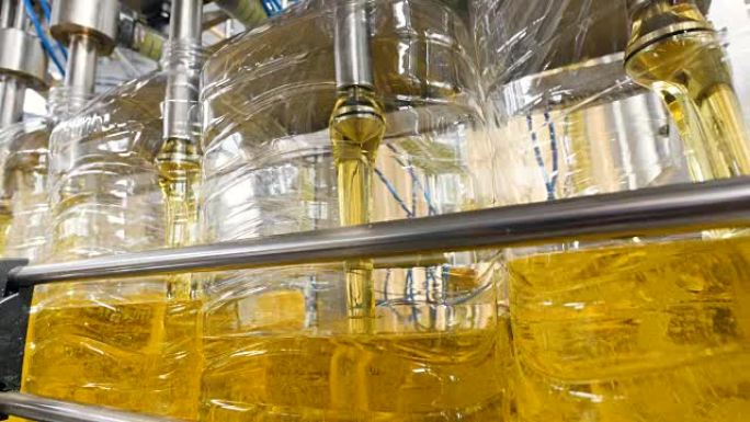 工厂生产设备将葵花籽油填充到瓶子中。4K。