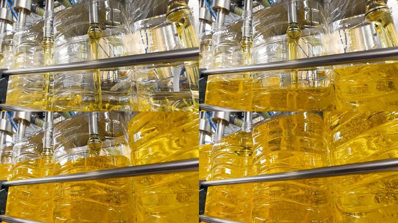 工厂生产设备将葵花籽油填充到瓶子中。4K。