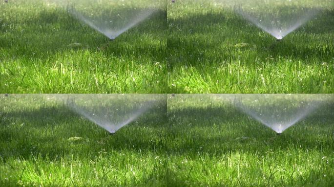 洒水喷头。农业洒水车在后院的绿草上喷水。