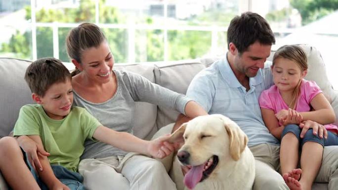 可爱的家庭和他们的拉布拉多狗一起在沙发上放松