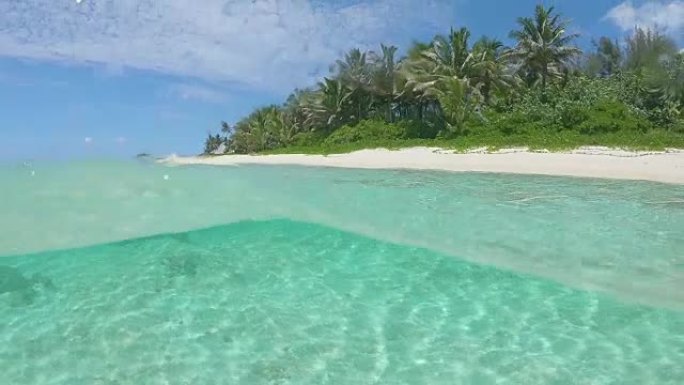 半水下: 被棕榈树包围的空白色沙滩的壮观镜头