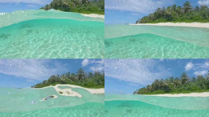半水下: 被棕榈树包围的空白色沙滩的壮观镜头