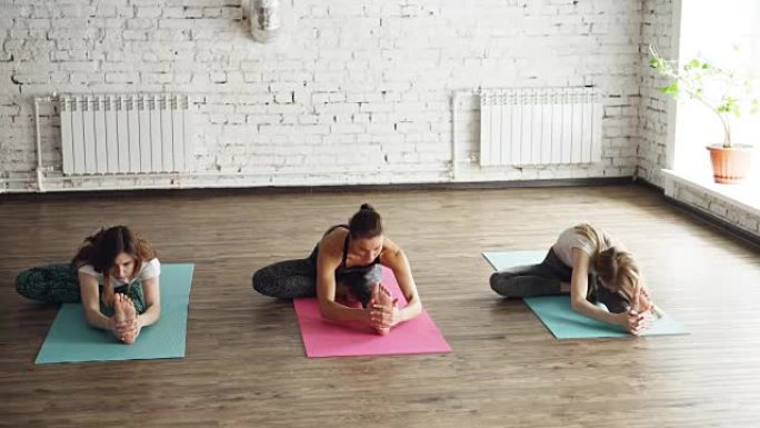 运动迷人的女孩坐在轻健康工作室的彩色瑜伽垫上，正在做伸展运动，向前弯曲头部到膝盖的位置。