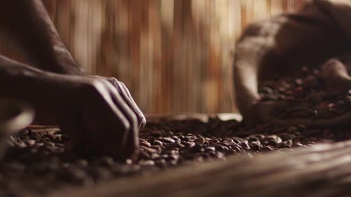 非洲工人正在分类咖啡豆