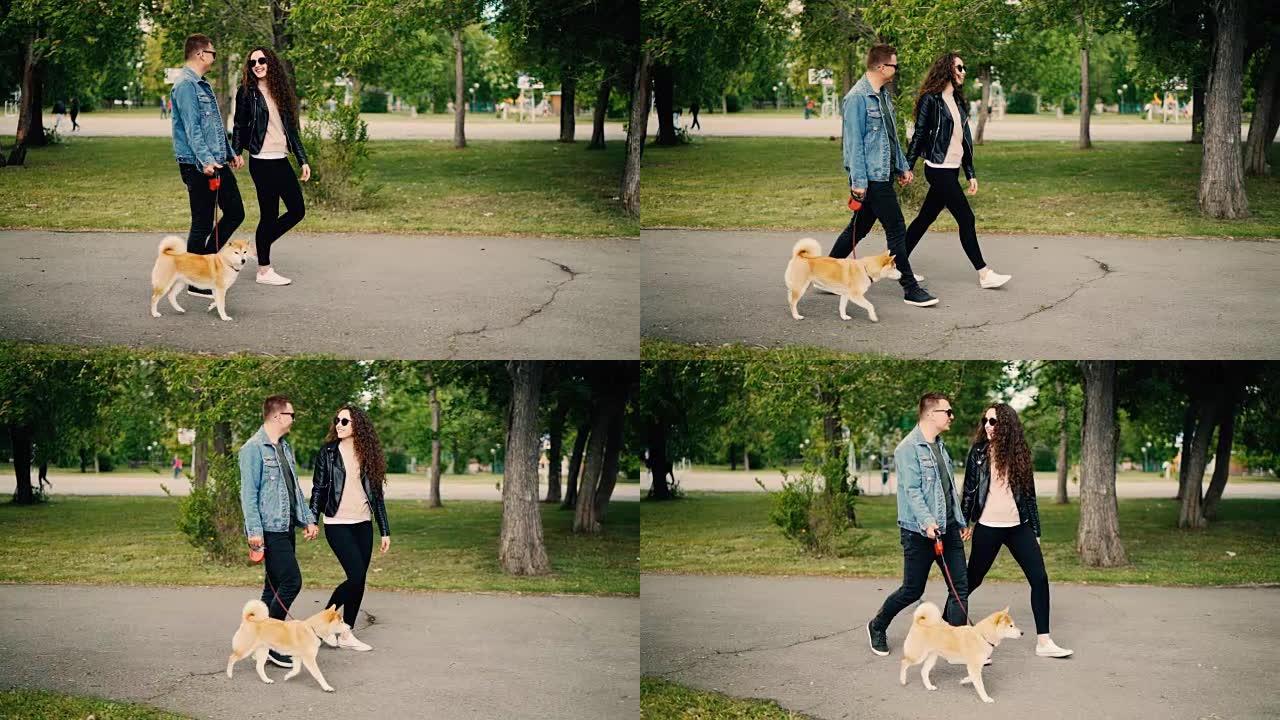 快乐的现代年轻人在公园里散步可爱的小狗，大笑。女孩和男孩都穿着现代服装牛仔裤和太阳镜。
