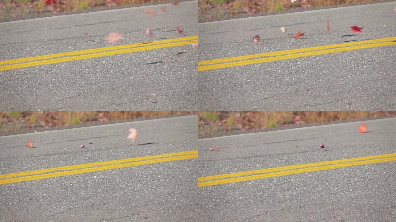慢动作特写: 红色的秋天枫叶在一辆驶过的汽车后面盘旋