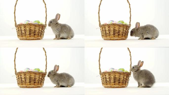 柳条篮和复活节兔子中的复活节彩蛋