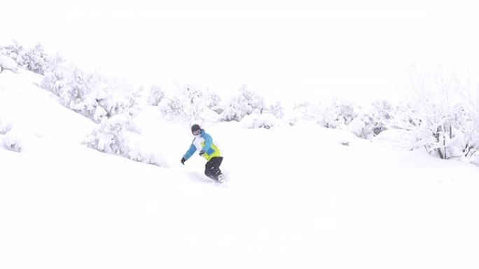 慢动作: 滑雪板骑术粉