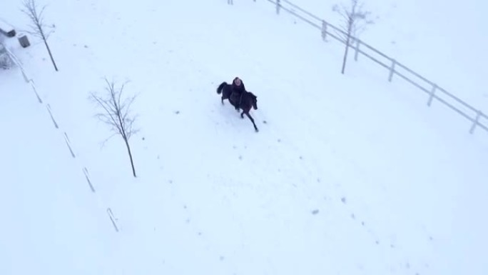空中: 梦幻般的冬天，女孩骑马在雪原上骑着强壮的马
