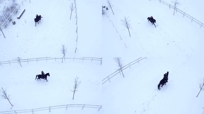 空中: 梦幻般的冬天，女孩骑马在雪原上骑着强壮的马