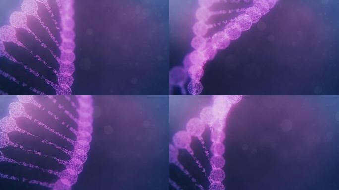 旋转神经丛DNA链-紫色版本