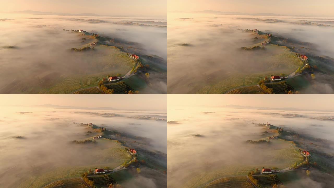 斯洛文尼亚杰鲁扎姆宁静、田园诗般的葡萄园山上的鸟瞰图雾