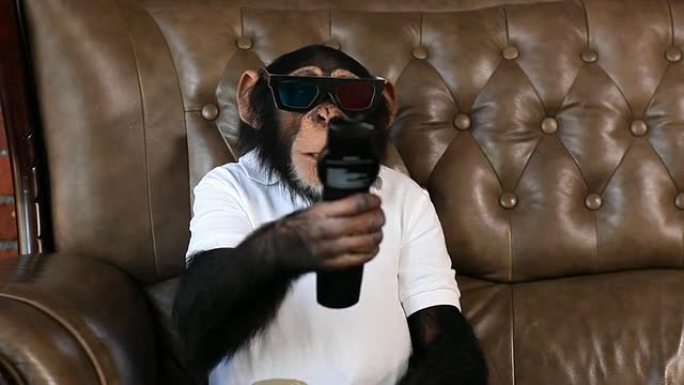 黑猩猩3D电视红蓝