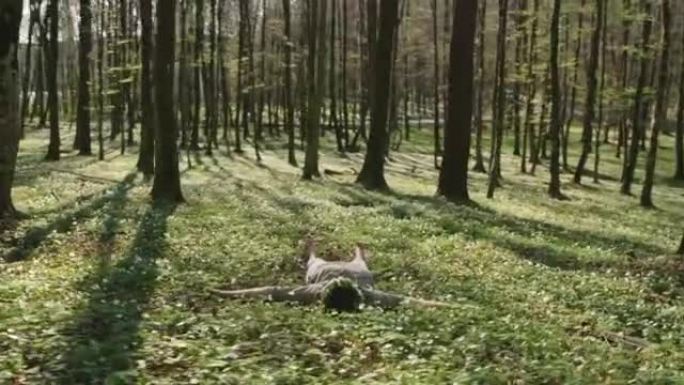 WS女人头上有花圈躺在森林里