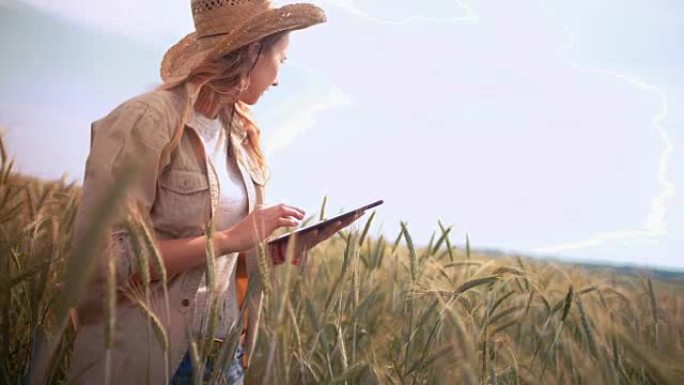 用数字平板电脑检查农作物生长的女农民