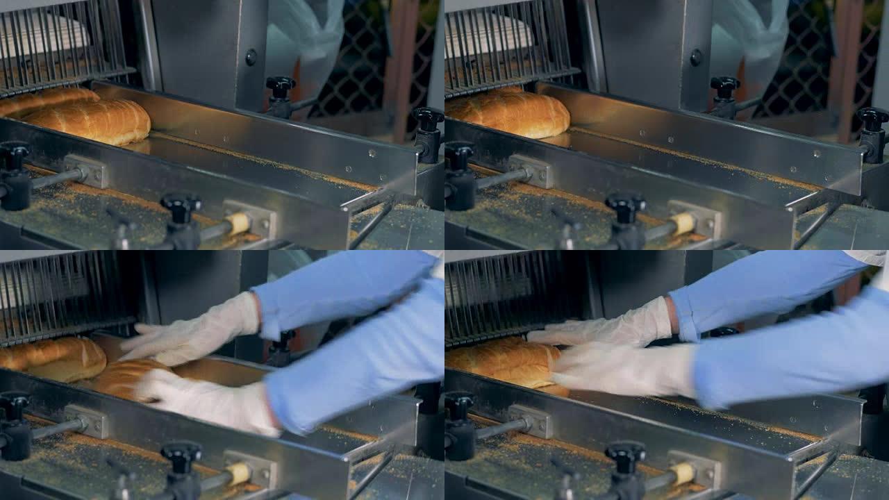 工人从输送机上取出切成薄片的长面包。
