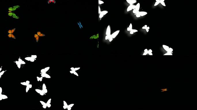 动画蝴蝶飞入/飞出-混合物种（带有Alpha变体）