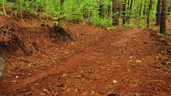 山地自行车泥土在森林里跳跃。年轻健康的人骑山地自行车。户外活跃的夏季生活方式。斯蒂安卡姆开枪。