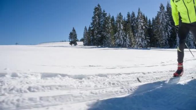 冬季景观中的越野滑雪者