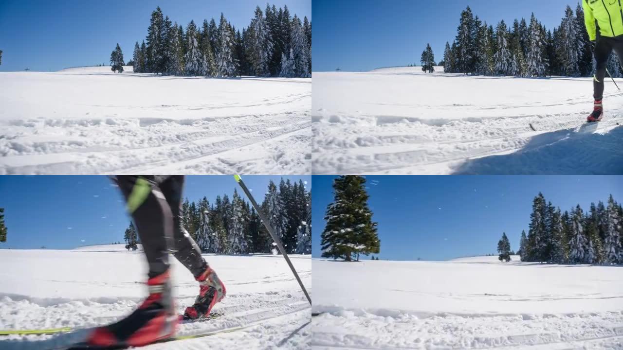 冬季景观中的越野滑雪者