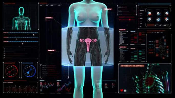放大女性身体扫描子宫在数字显示仪表盘。