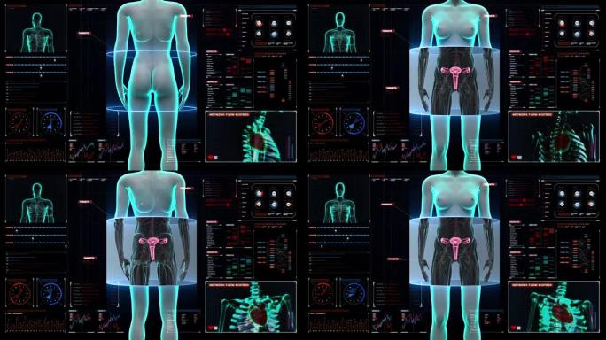 放大女性身体扫描子宫在数字显示仪表盘。