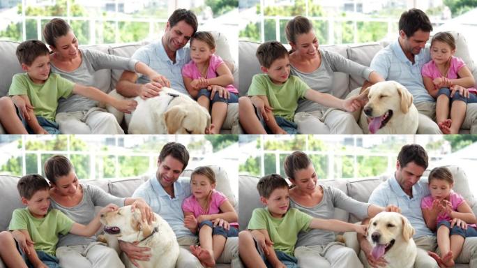 可爱的家庭和他们的狗一起在沙发上放松
