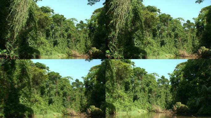 Tortuguero国家公园通道