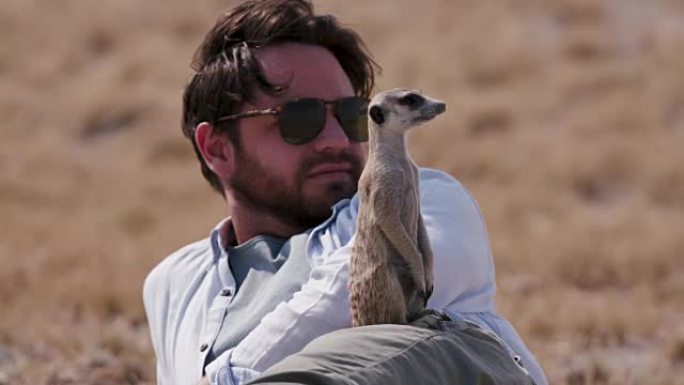 Meerkat以游客为观光点，博茨瓦纳
