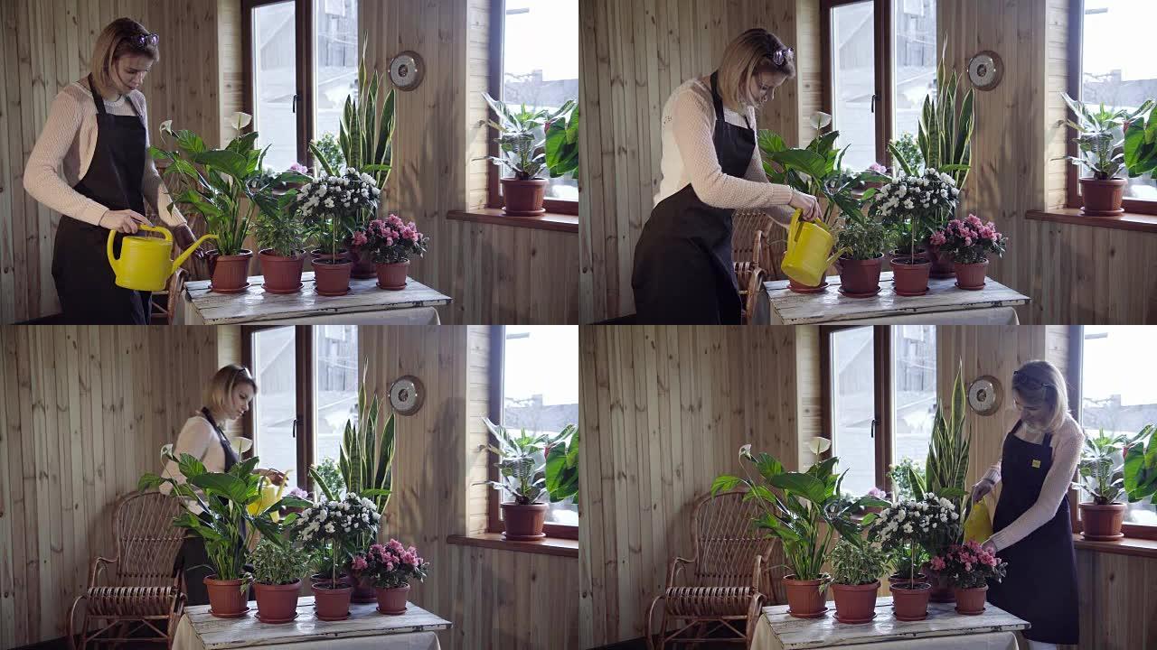 年轻女子在家中浇花
