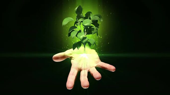 手工展示数字绿色植物生长