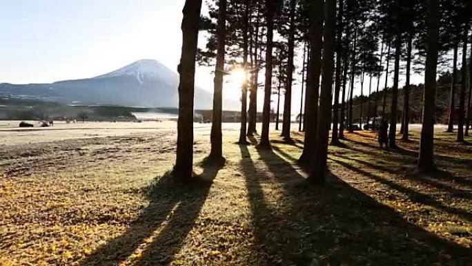 多莉镜头: 藤山日出在富本帕拉露营