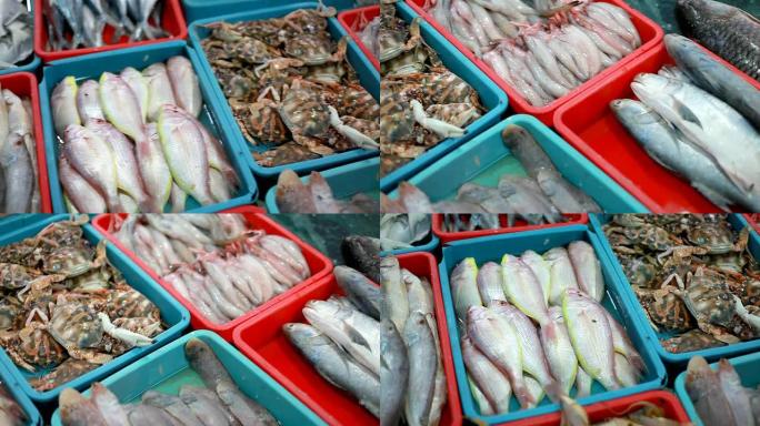 印度市场上出售的各种鱼类和螃蟹