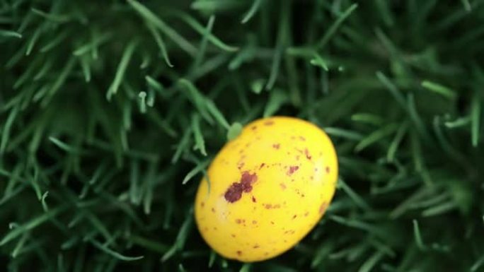 黄色复活节彩蛋