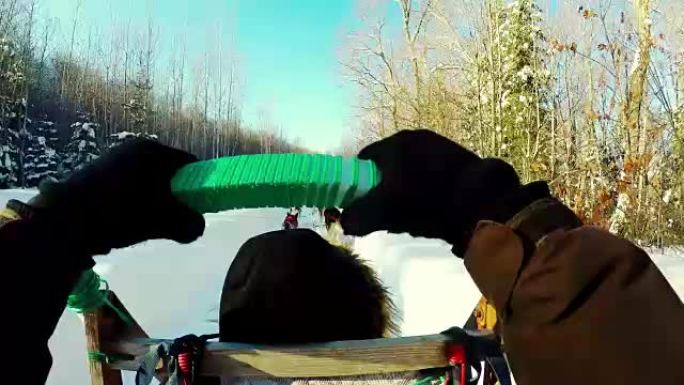 与西伯利亚哈士奇一起乘坐雪橇的女人