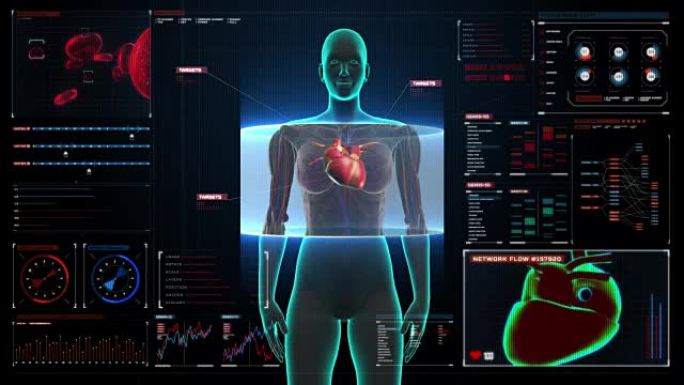 女性身体扫描心脏。数字显示中的人体心血管系统。