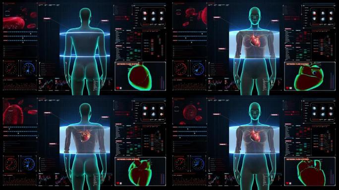 女性身体扫描心脏。数字显示中的人体心血管系统。