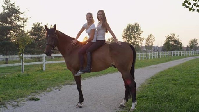 特写: 两个漂亮的女孩在日出时在牧场上骑着漂亮的马