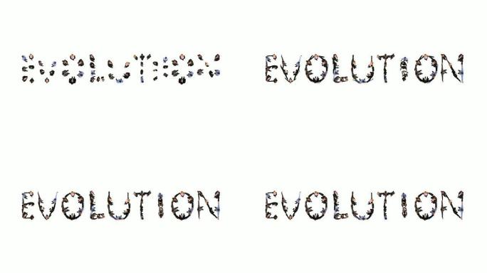 高清: 进化