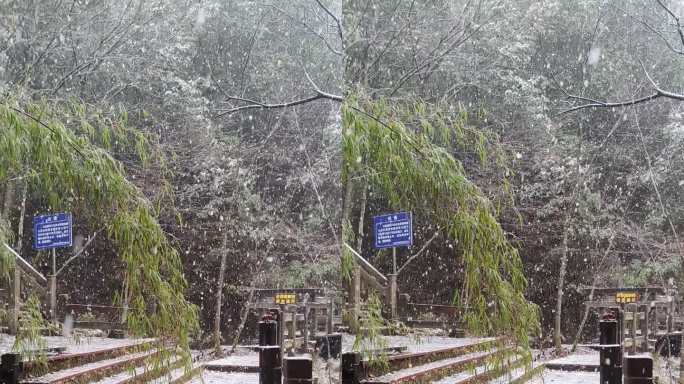 神农架冬季雪景