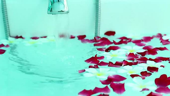 浴缸和玫瑰花瓣