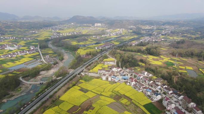 汉中勉县高速公路穿过油菜花海