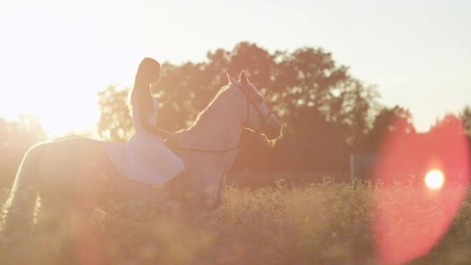 Dop: 一个年轻女孩在阳光明媚的乡村骑着白马的剪影