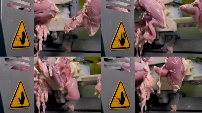 鸡胸肉上的机械化去骨过程。