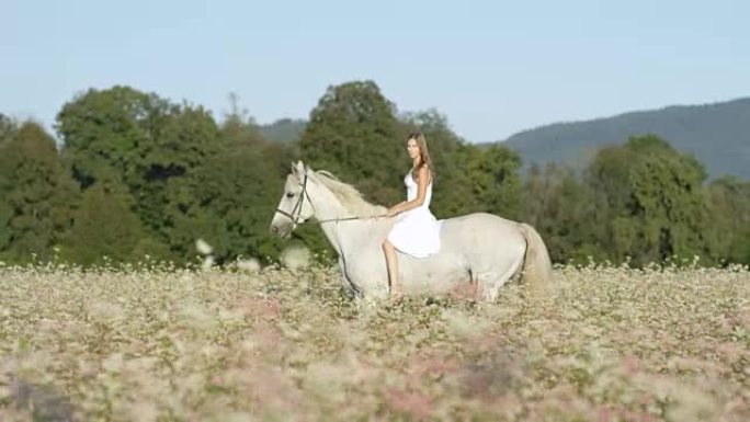 Dop: 美丽的女性，长发，露背骑马在花田