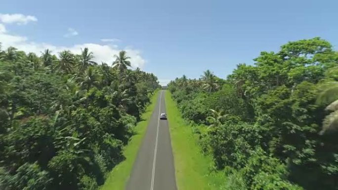 空中: 单人汽车沿着直路行驶，穿过阳光普照的丛林。